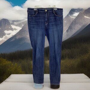 American Eagle Women's Size 16 Long Hi-Rise Jegging Stretch Dark Wash Blue